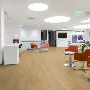 Sofort Bestellen Creation 55 Dryback I Lounge Oak Golden 1271 - EIR